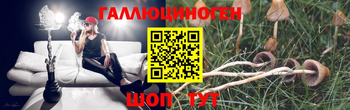 Псилоцибиновые грибы ЛСД  где купить наркоту  Кунгур  Вход с VPN 
